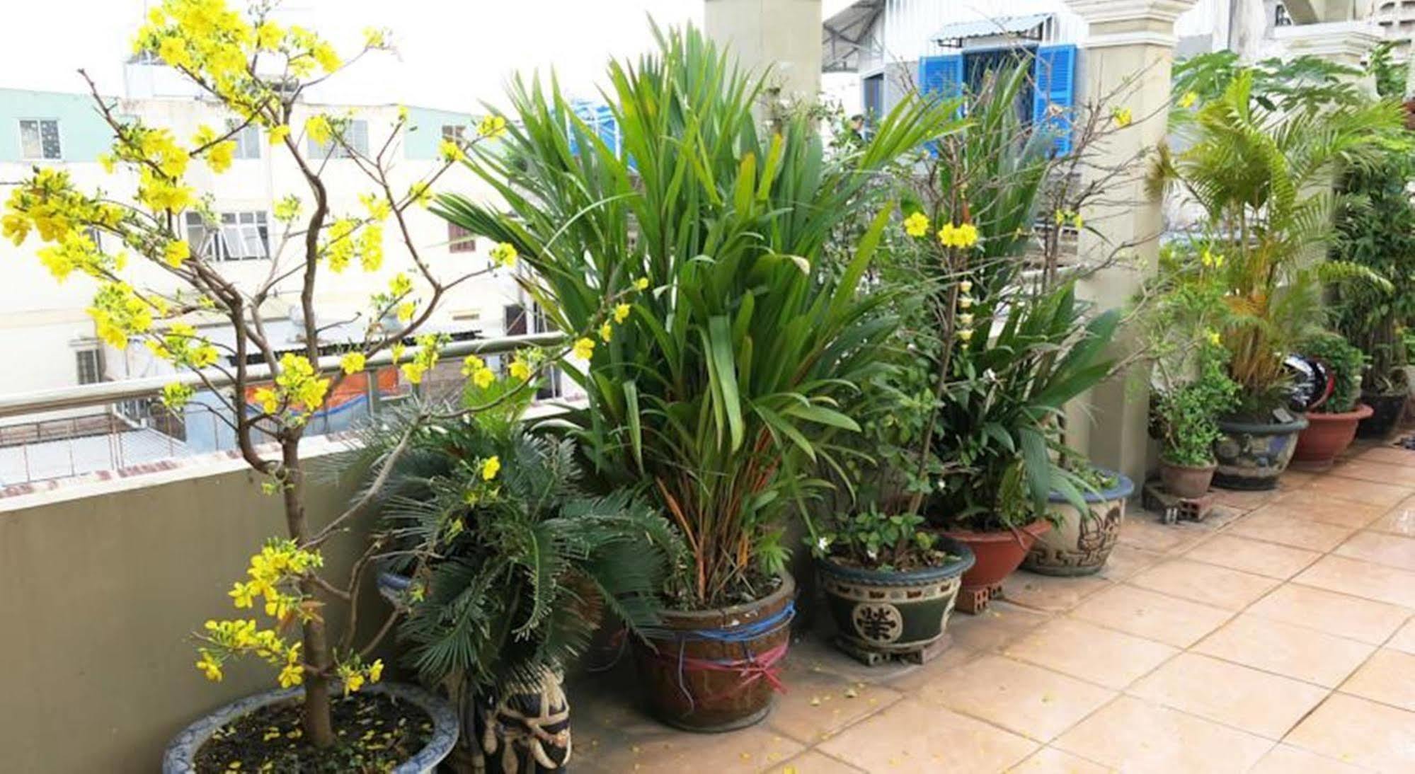 Banana Leaf Hotel Bandar Ho Chi Minh Luaran gambar
